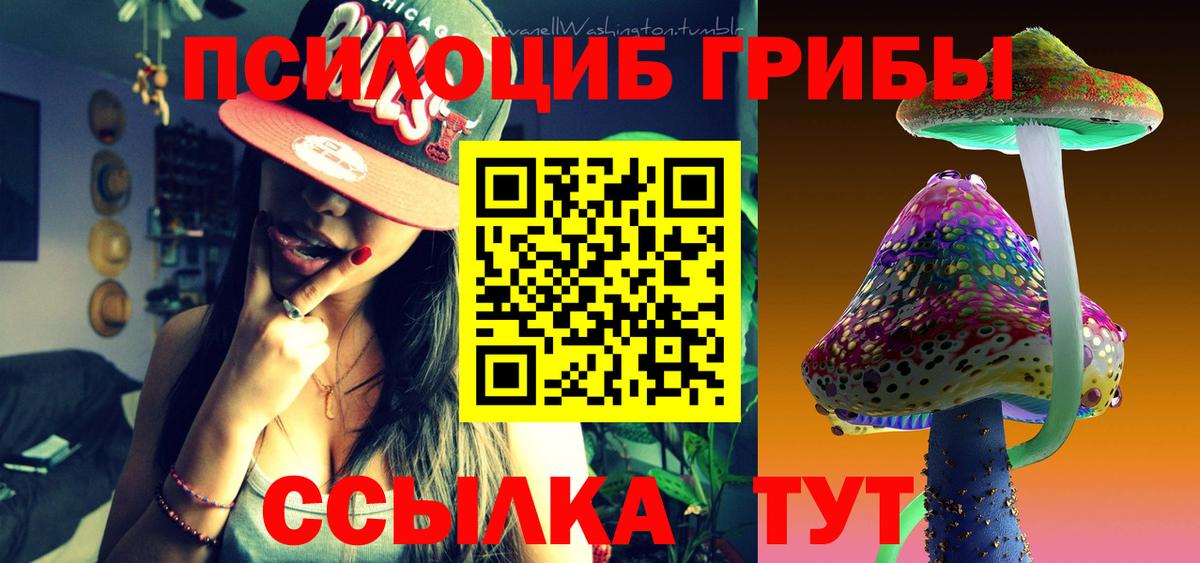 купить  сайты  Вход с VPN  Борзя  Псилоцибиновые грибы Psilocybe 