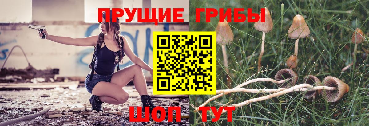 Псилоцибиновые грибы мухоморы Борзя